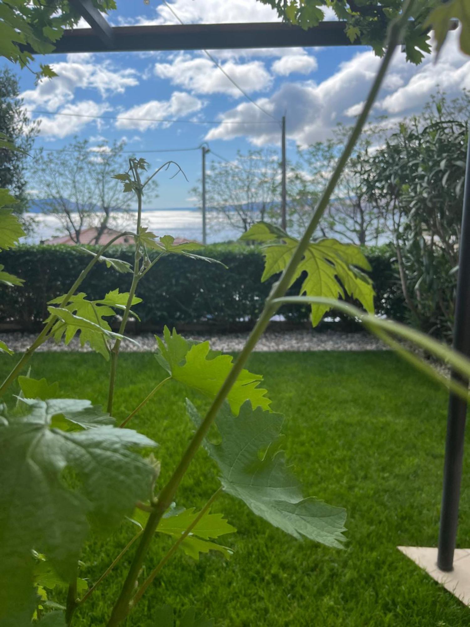 Apartman Mia Senj  Bagian luar foto